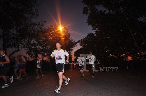 DSC_0131 - Copy (3).JPG